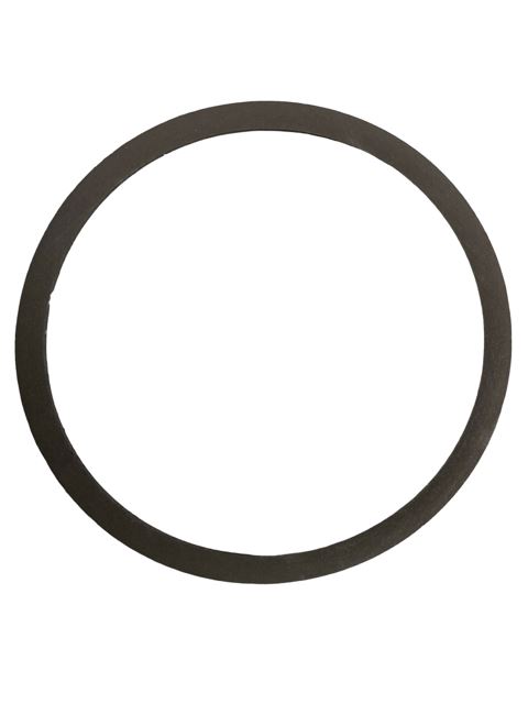PUMP GASKET FRONT - Biasi